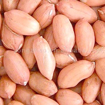 peanuts in kernels